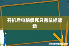 开机后电脑假死只有鼠标能动
