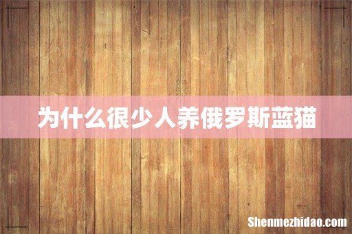 为什么很少人养俄罗斯蓝猫