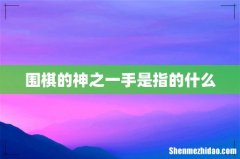 围棋的神之一手是指的什么