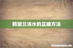 鹤望兰浇水的正确方法