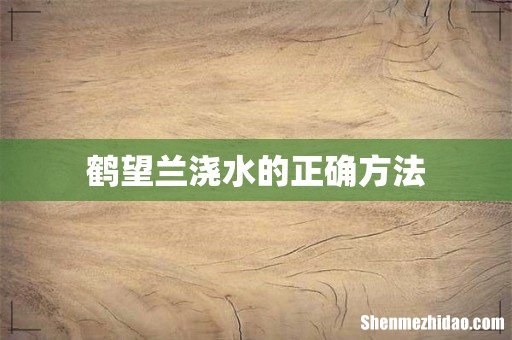 鹤望兰浇水的正确方法