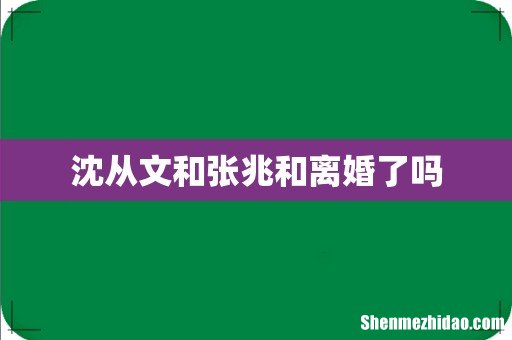 沈从文和张兆和离婚了吗