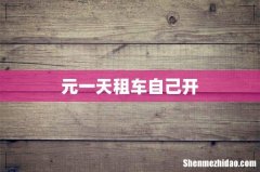 元一天租车自己开