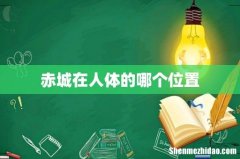 赤城在人体的哪个位置