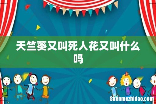 天竺葵又叫死人花又叫什么吗