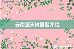 云南望天树景区介绍