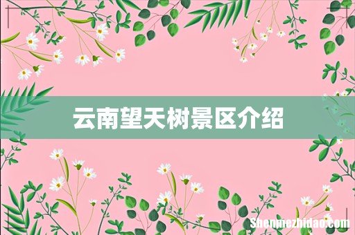 云南望天树景区介绍