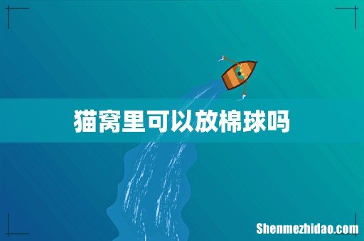 猫窝里可以放棉球吗