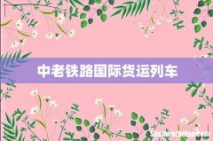 中老铁路国际货运列车
