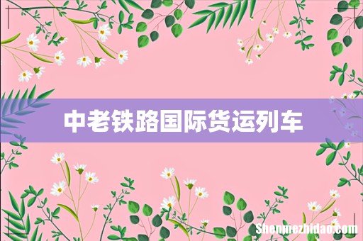 中老铁路国际货运列车