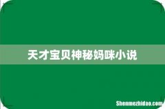 天才宝贝神秘妈咪小说