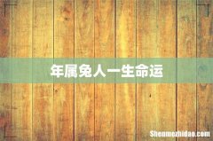 年属兔人一生命运