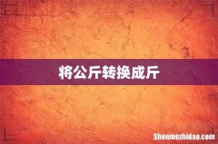 将公斤转换成斤