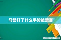 马哲打了什么手势被禁赛