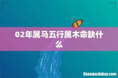 02年属马五行属木命缺什么