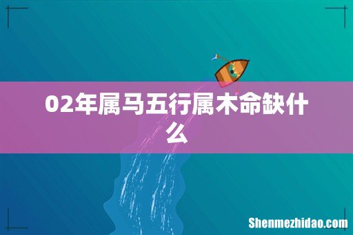 02年属马五行属木命缺什么