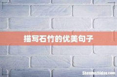 描写石竹的优美句子