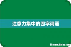 注意力集中的四字词语