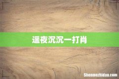 遥夜沉沉一打肖