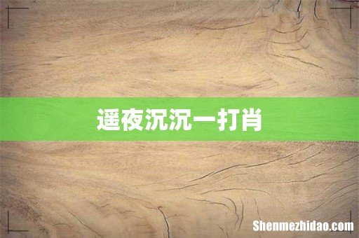 遥夜沉沉一打肖