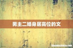 男主二婚身居高位的文