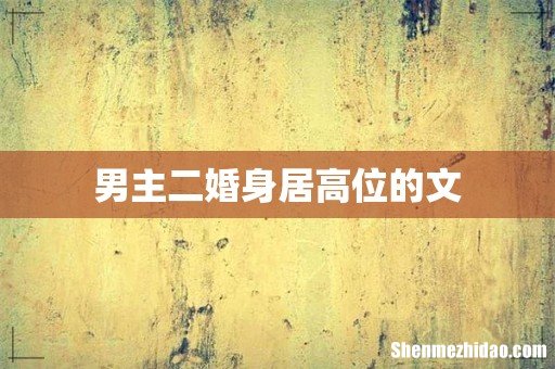 男主二婚身居高位的文