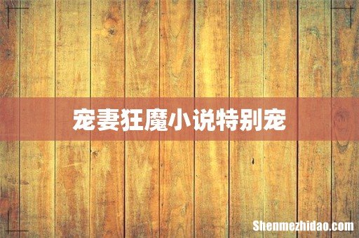 宠妻狂魔小说特别宠