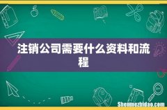 注销公司需要什么资料和流程