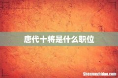 唐代十将是什么职位