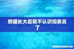 熊猫长大后就不认识饲养员了