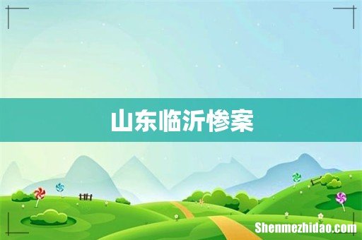 山东临沂惨案