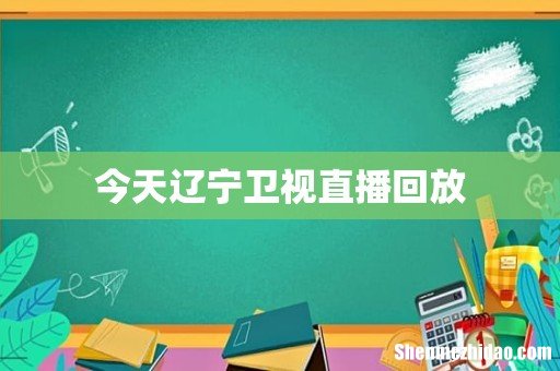 今天辽宁卫视直播回放