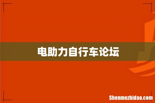 电助力自行车论坛
