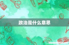 政治是什么意思