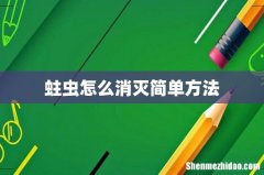 蛀虫怎么消灭简单方法