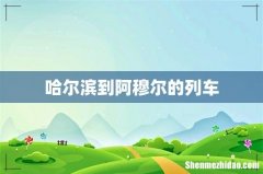 哈尔滨到阿穆尔的列车