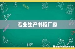 专业生产书柜厂家