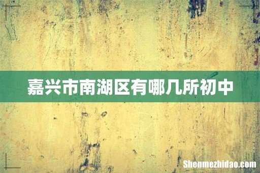 嘉兴市南湖区有哪几所初中