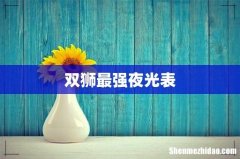 双狮最强夜光表