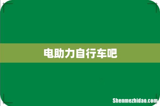 电助力自行车吧