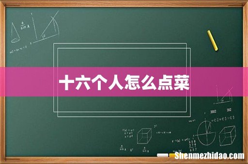 十六个人怎么点菜