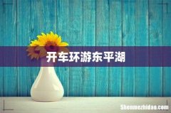 开车环游东平湖