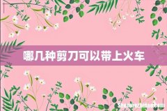 哪几种剪刀可以带上火车