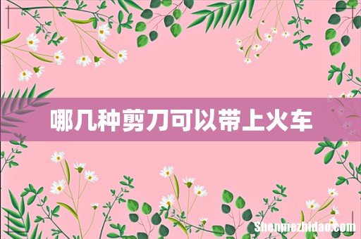 哪几种剪刀可以带上火车