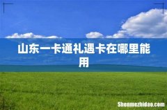 山东一卡通礼遇卡在哪里能用