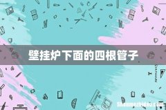 壁挂炉下面的四根管子