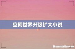 空间世界升级扩大小说