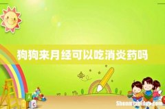 狗狗来月经可以吃消炎药吗