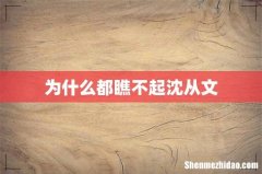 为什么都瞧不起沈从文