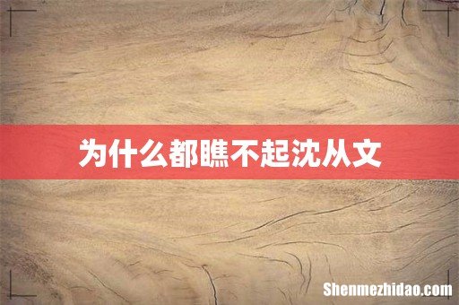 为什么都瞧不起沈从文